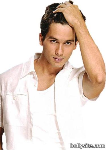 sasha (68) - Shahid Kapoor