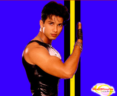 sasha (75) - Shahid Kapoor