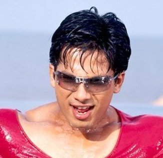 sasha (77) - Shahid Kapoor