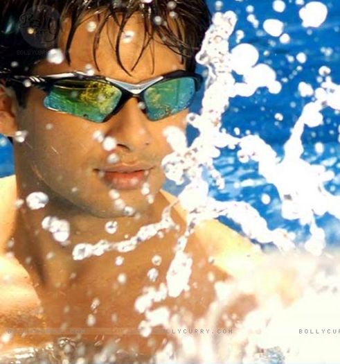 sasha (79) - Shahid Kapoor