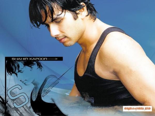 sasha (86) - Shahid Kapoor
