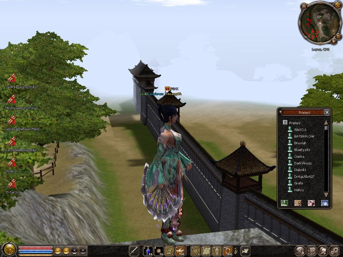 1020_173356 - 0 Metin2 my avatar 0