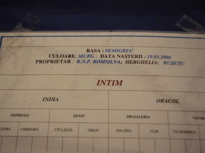 DSC09027 - Z - Indagra 2011