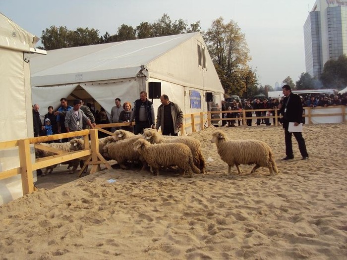 DSC09043 - Z - Indagra 2011