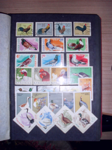 SDC13286 - timbrele mele