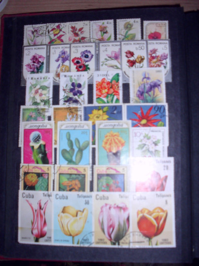 SDC13283 - timbrele mele