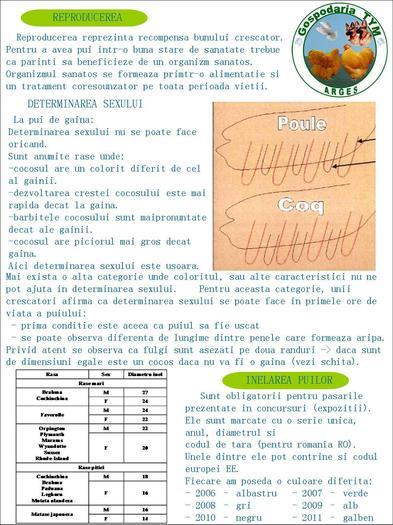 COCOS vs GAINA - Poze