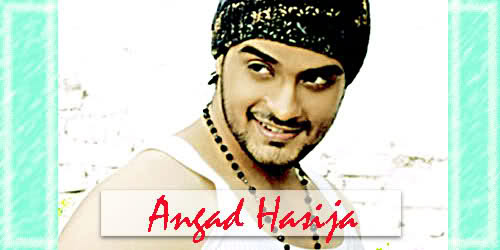 13zd6vt - Angad Hasija