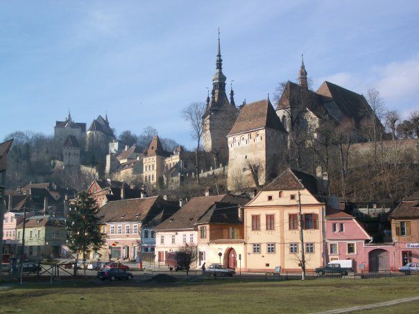 n82076205236_4302079_7360