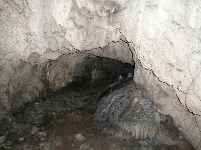 P1320360