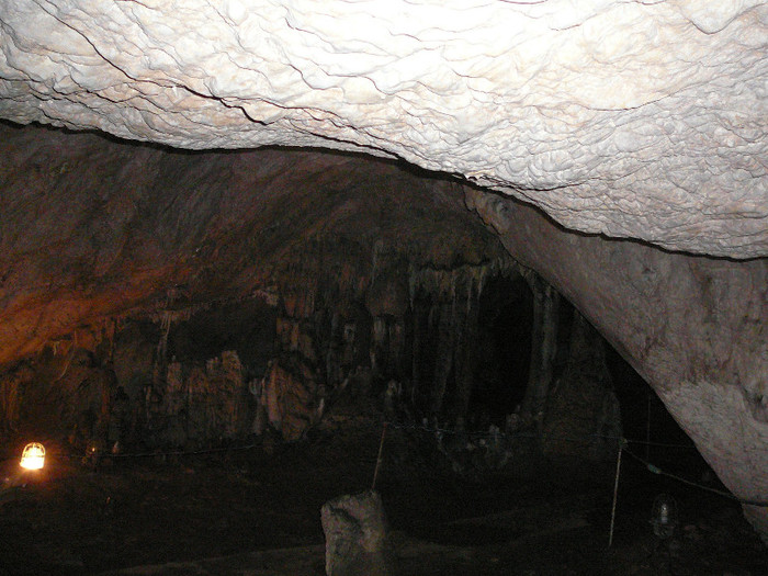 P1320362