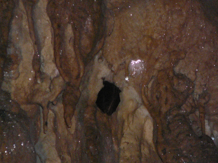 P1320370