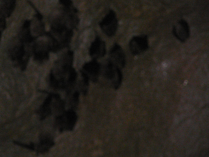 P1320372