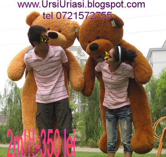doi - Ursi Uriasi Modele Noi 2012