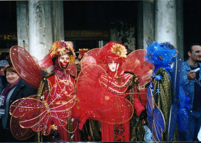 fluturasii LIA SI MEME