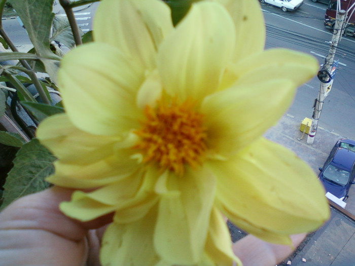 my pictures- 23 oct 2011 008