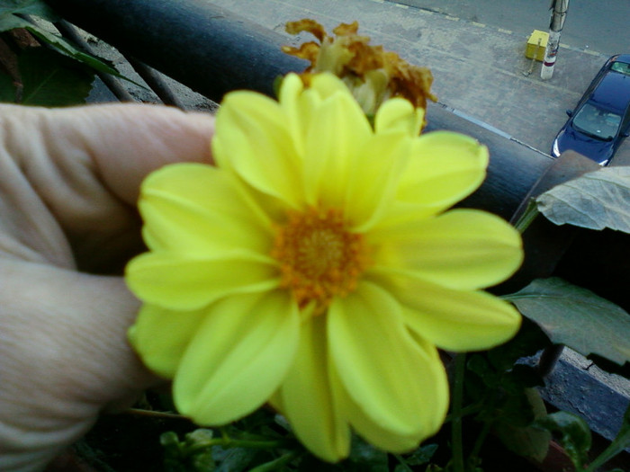 my pictures- 23 oct 2011 010