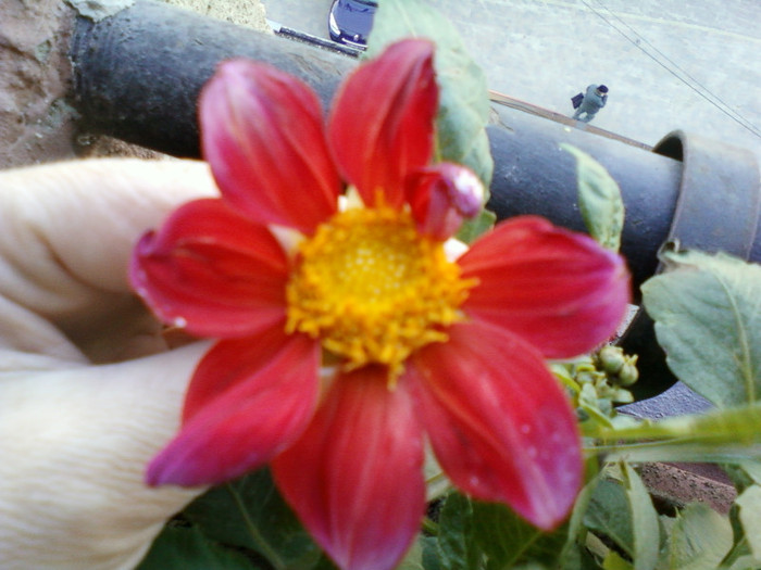 my pictures- 23 oct 2011 011
