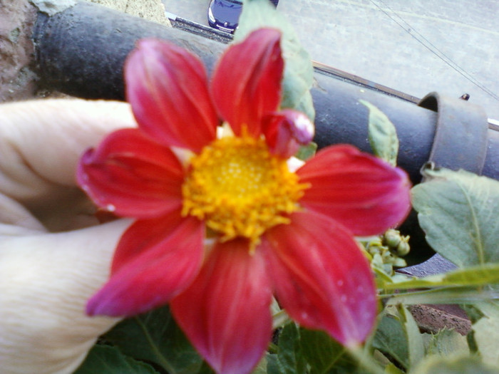 my pictures- 23 oct 2011 012