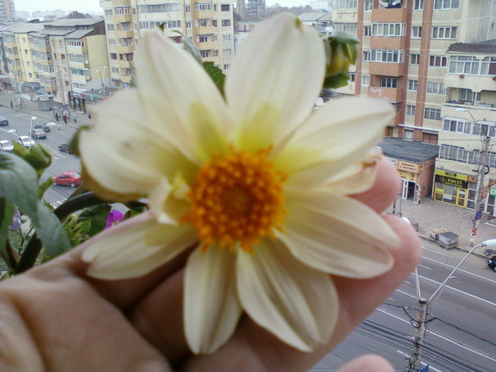 my pictures- 23 oct 2011 054