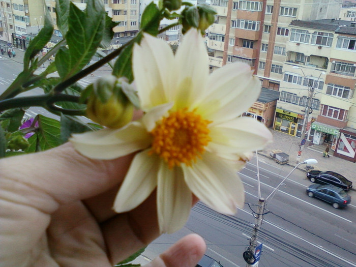 my pictures- 23 oct 2011 055