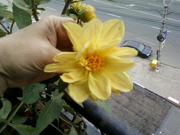 my pictures- 23 oct 2011 056