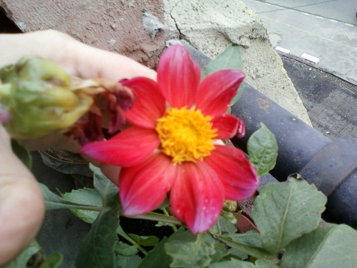 my pictures- 23 oct 2011 058