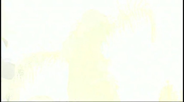 bscap0475 - xX_Tell Me Something I Don t Know