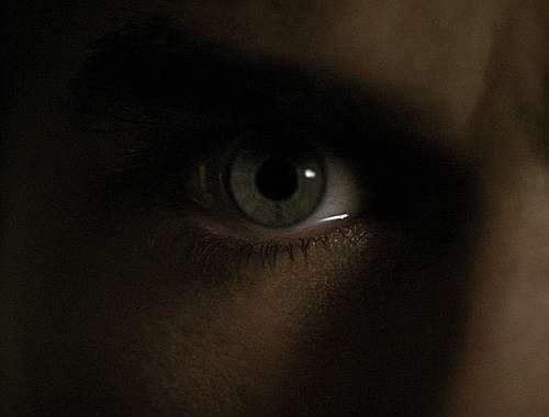 250399_185831251465823_164607846921497_450890_1835502_n - Ian Somerhalder
