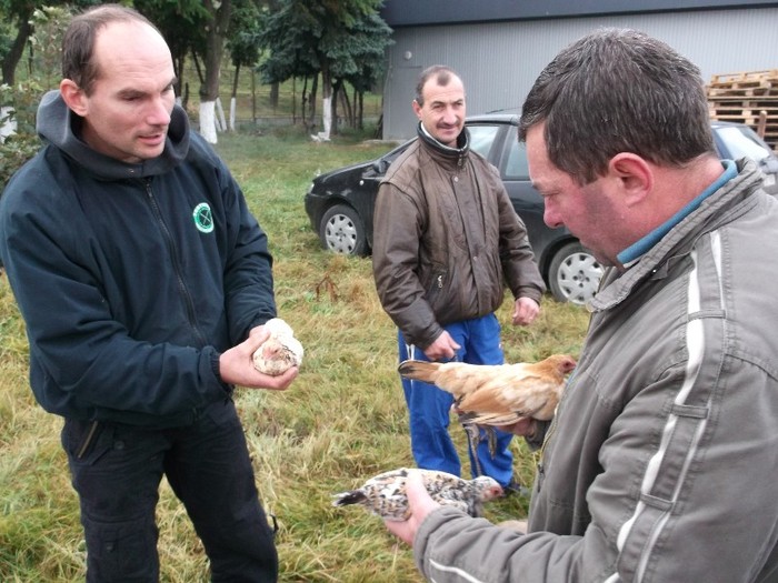 Vrei o pupaza adevarata??????// - TARG INTERNATIONAL DE ANIMALE EDITIAa II-a CLUJ NAPOCA 2011