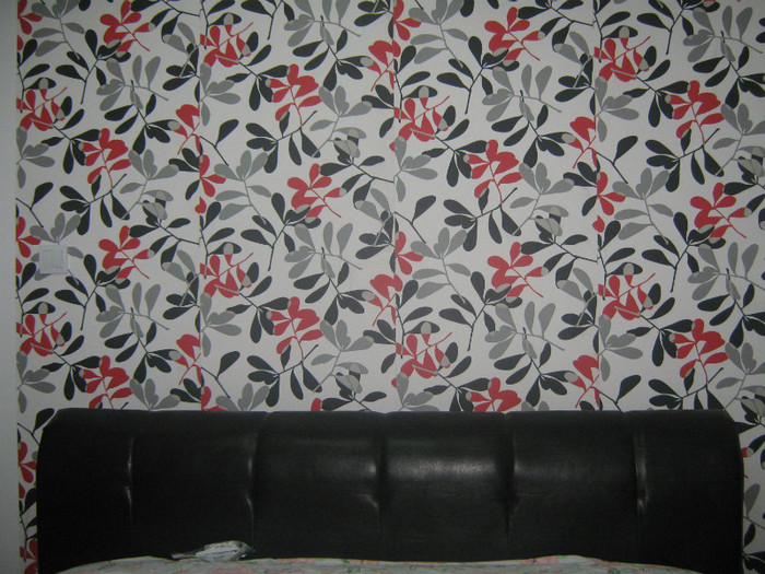 tati dfd 031 - Contact