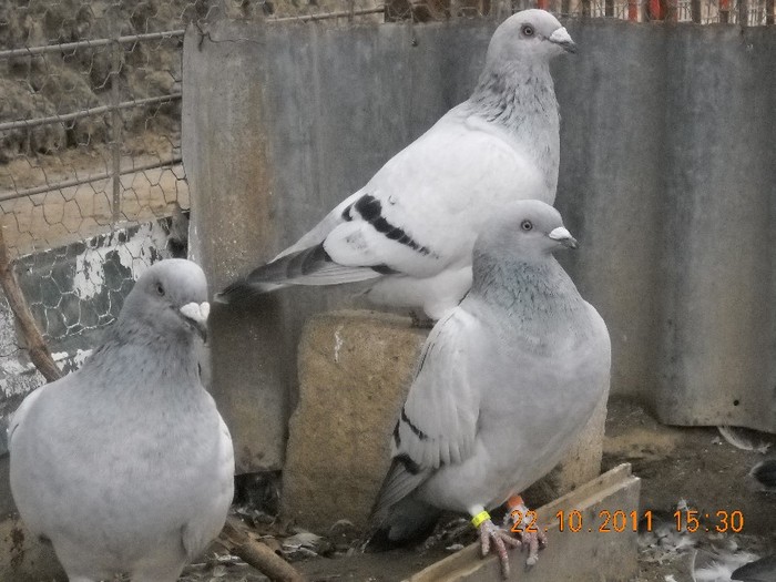 DSCN0104