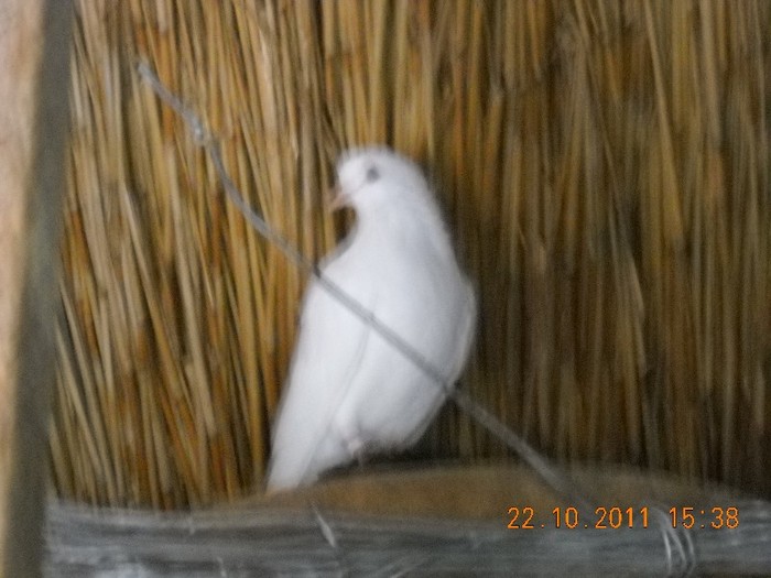 DSCN0134