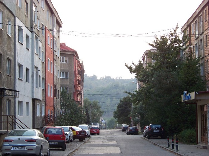 100_7026 - Petrosani