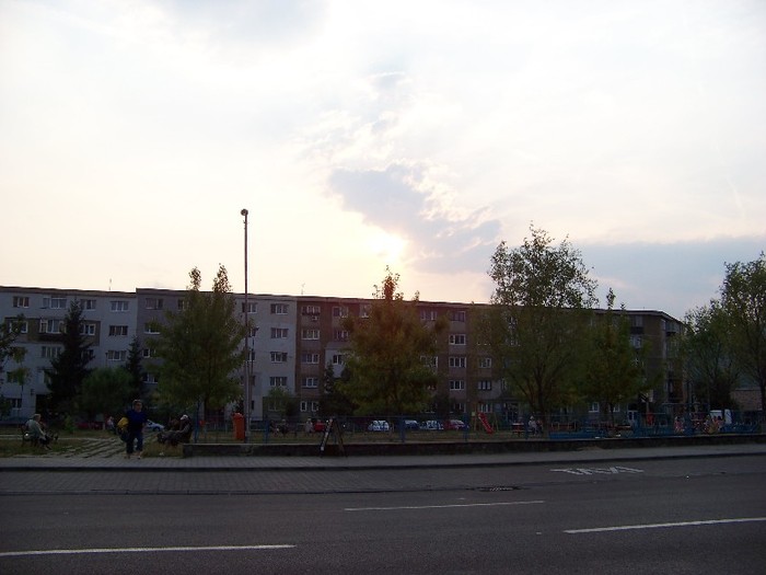100_7030