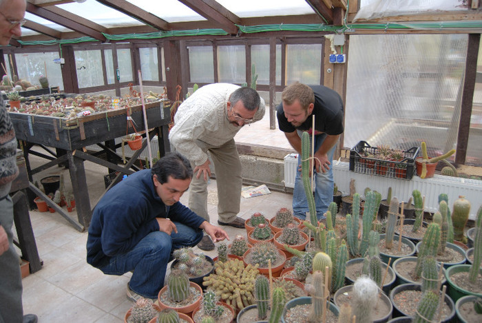 Intalnire la Fundulea - Intalnire cactusistica-Fundulea 2011