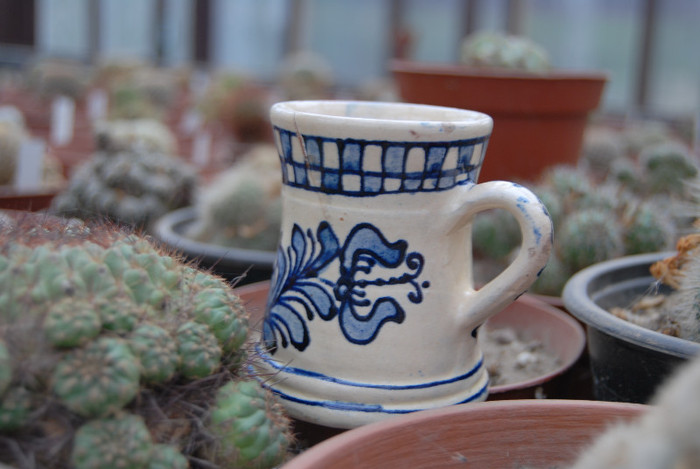 Intalnire la Fundulea