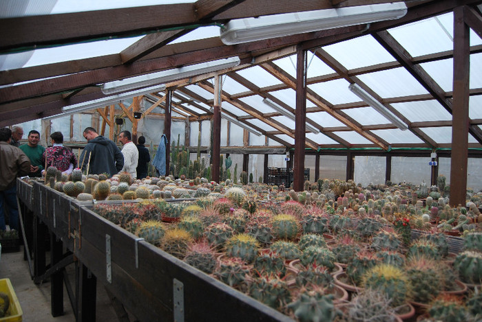 Intalnire la Fundulea