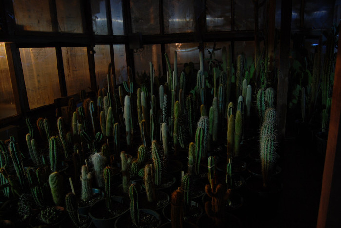 Intalnire la Fundulea