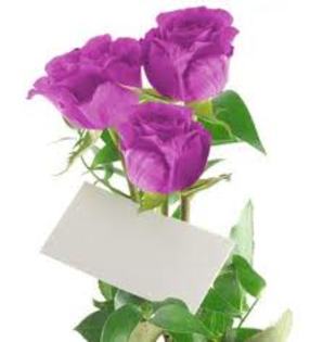 images (23) - TRANDAFIRI