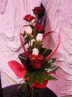 images (36) - TRANDAFIRI