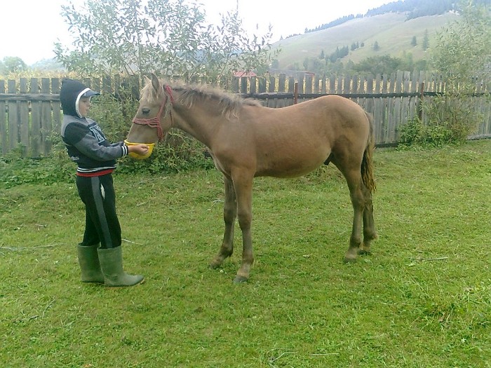 Dar acum arata mai bn dupa 1 luna - L Caiii meii