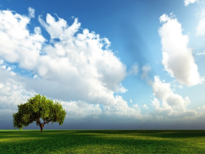 Lazy Days - Wallpeare