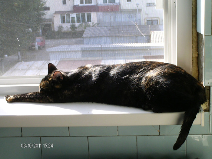 octombrie 021 - mita _2011