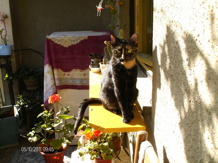octombrie 027 - mita _2011
