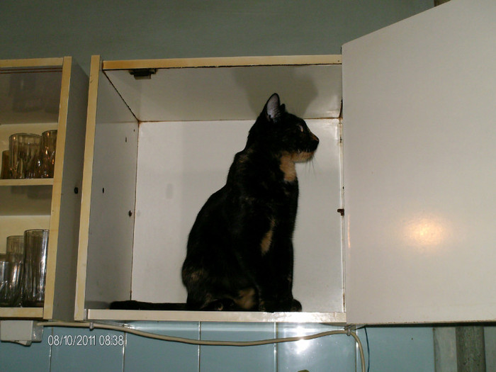 octombrie 041 - mita _2011