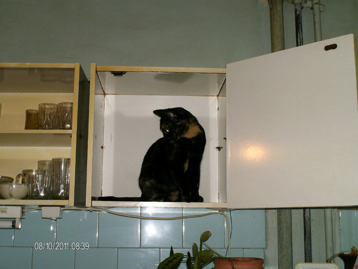 octombrie 042 - mita _2011