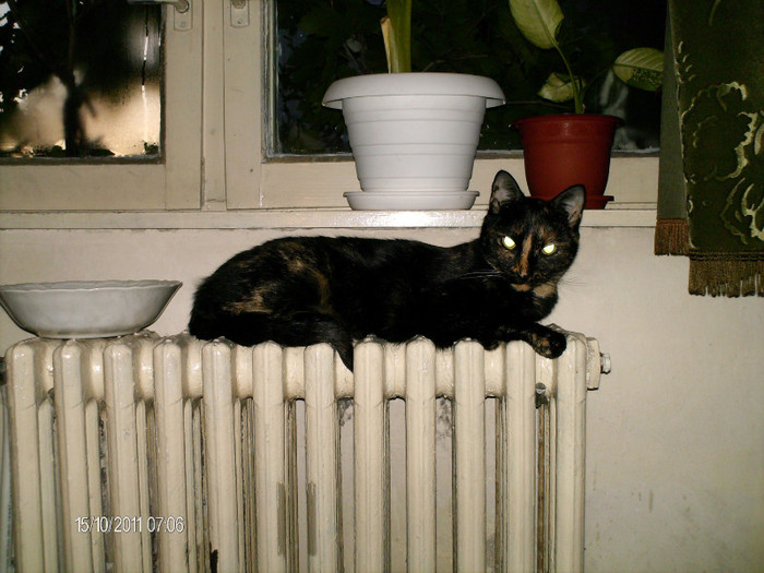 octombrie 046 - mita _2011