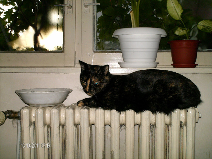 octombrie 049 - mita _2011