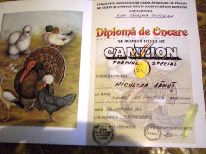 expo Caransebes diplome 002